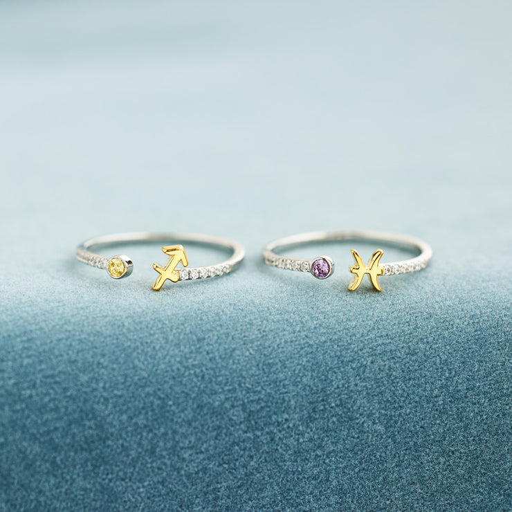 Birthstone Zodiac Sign Ring