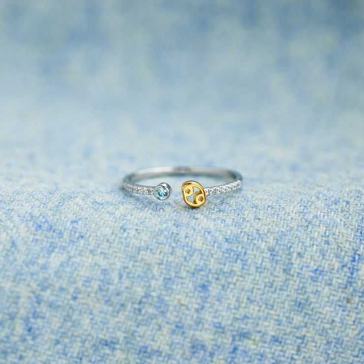 Birthstone Zodiac Sign Ring