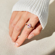 Dual Triangle Ring